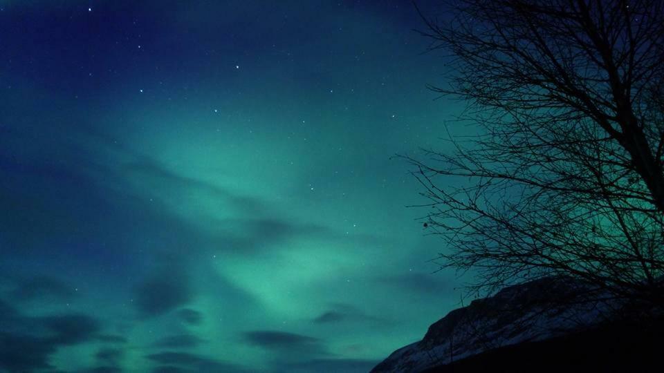 Ballangen Camping นาร์วิก ภายนอก รูปภาพ