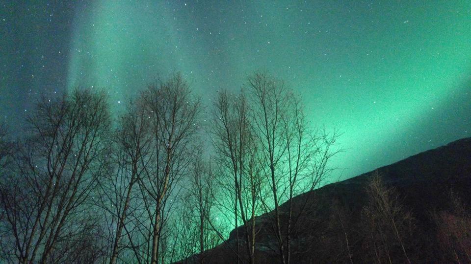 Ballangen Camping นาร์วิก ภายนอก รูปภาพ